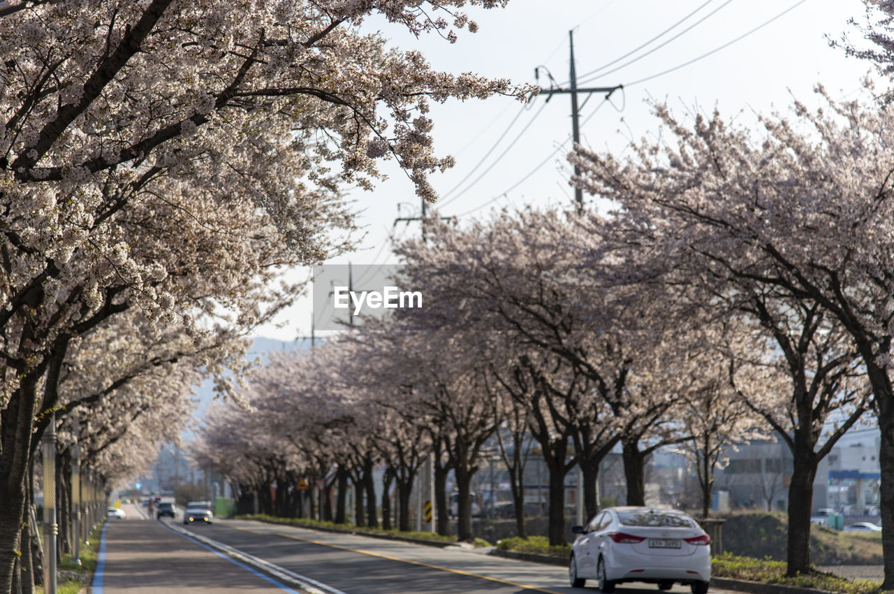 CARS ON ROAD AGAINST SKY