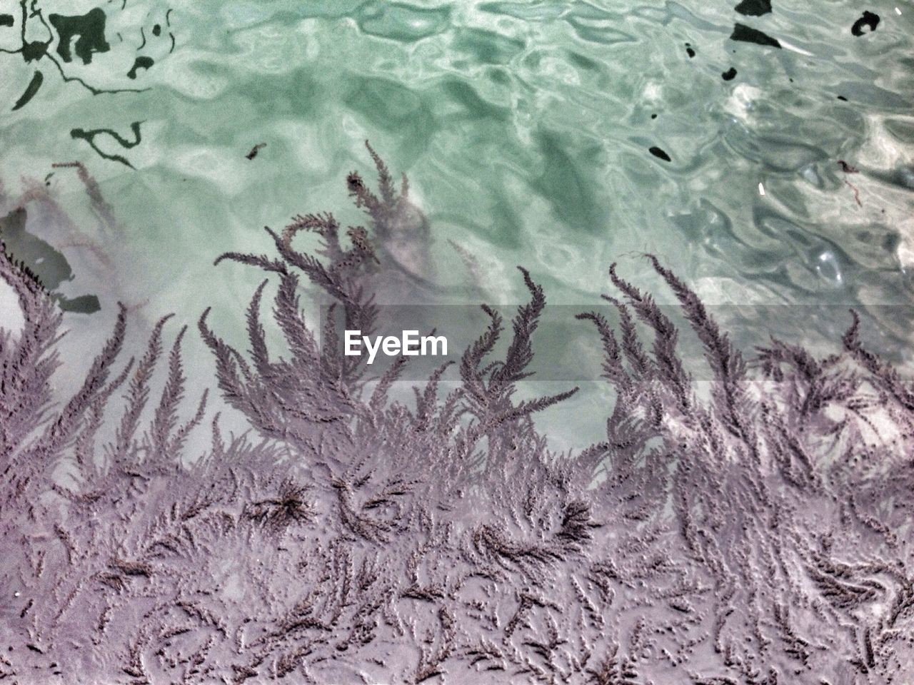 VIEW OF WATER IN WATER
