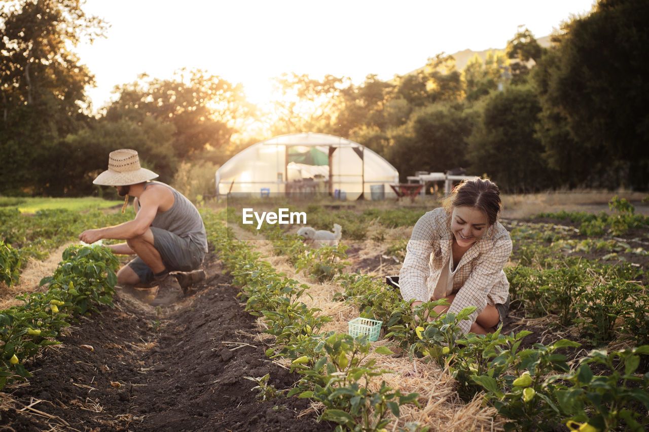 Male and female farmers working on agricultural field