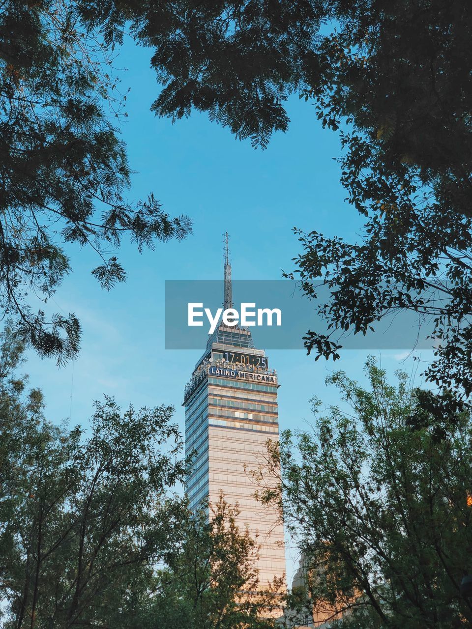 LOW ANGLE VIEW OF TREES AND BUILDING AGAINST SKY