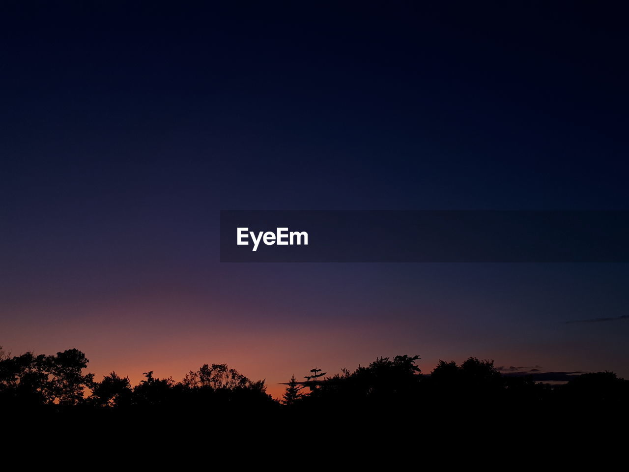 SILHOUETTE TREES AGAINST CLEAR BLUE SKY AT SUNSET