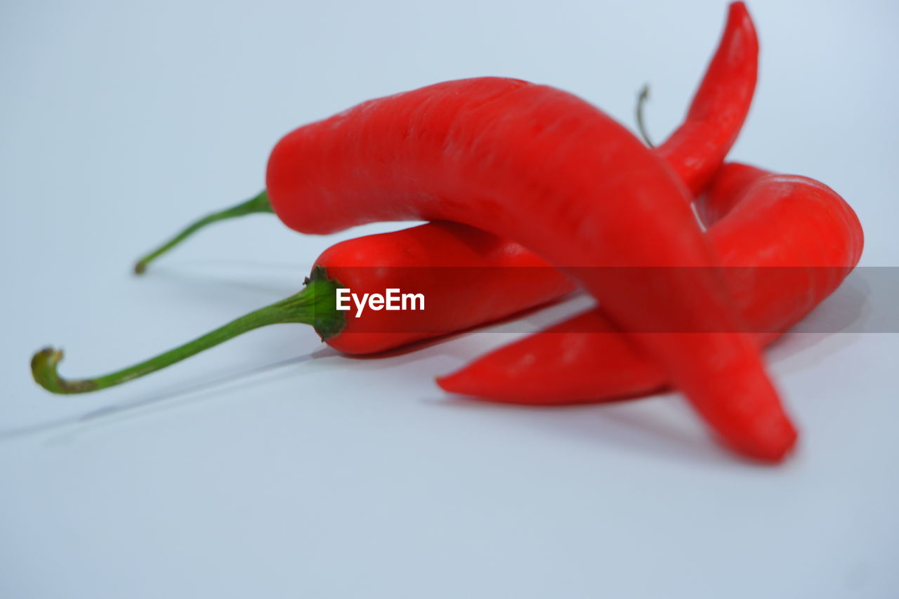 CLOSE-UP OF RED CHILI PEPPERS OVER WHITE BACKGROUND