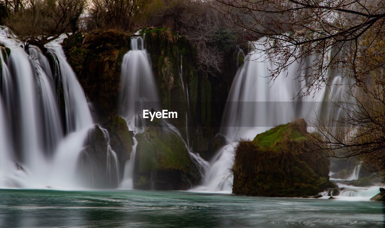 Scenic view of waterfall in forest