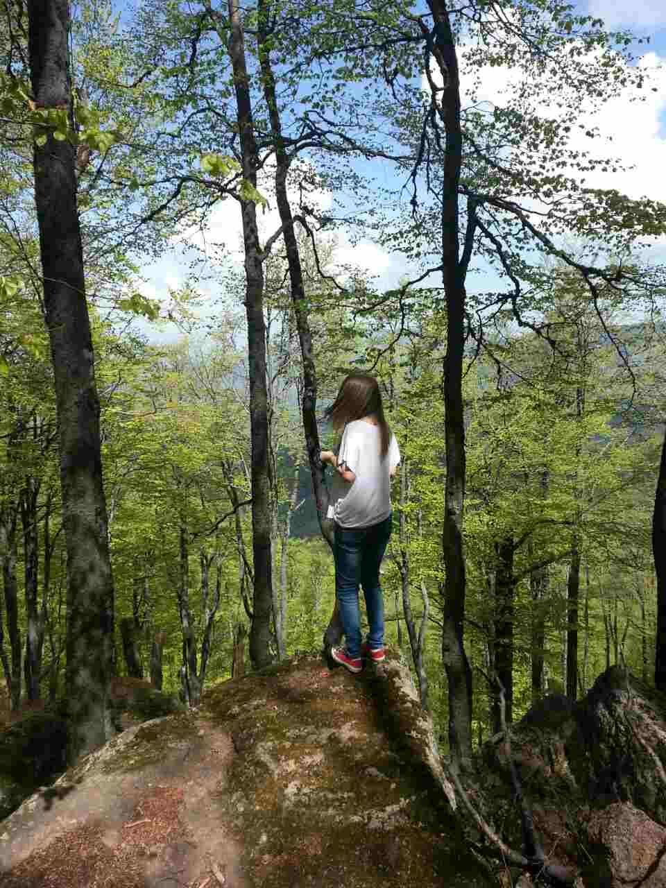 Rear view of woman standing on rock in forest