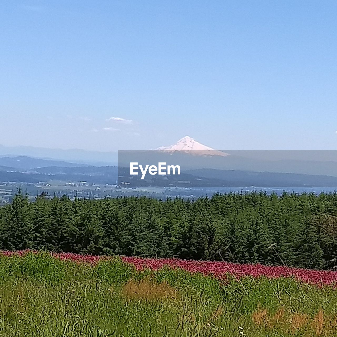 SCENIC VIEW OF FIELD AGAINST MOUNTAINS