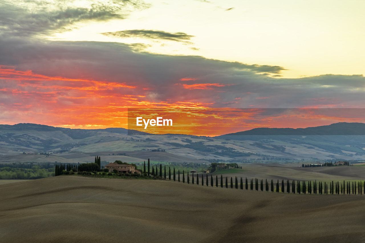 Italy, tuscany, castiglione d'orcia, rolling landscape val d'orcia at moody dawn