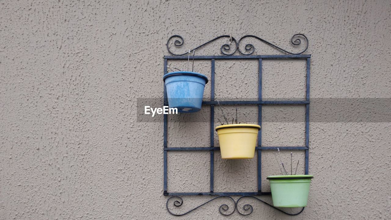 Close-up of potted plants hanging on wall