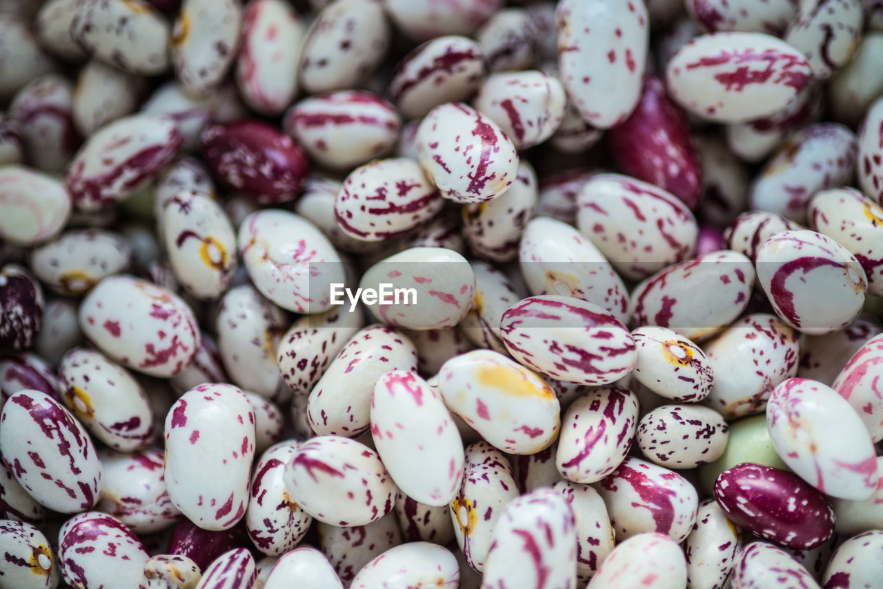 Full frame of cranberry beans