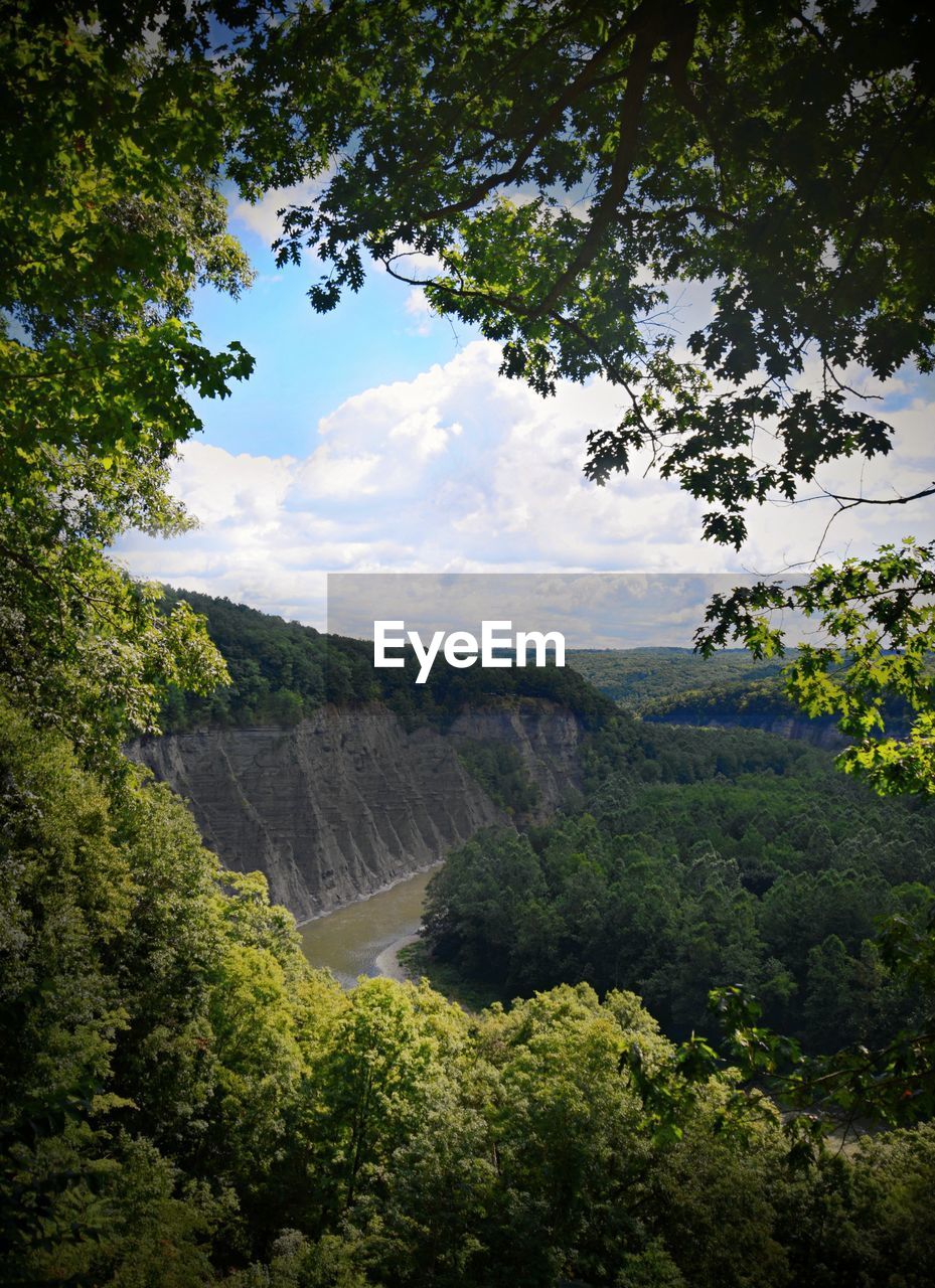 SCENIC VIEW OF TREES AND MOUNTAINS AGAINST SKY