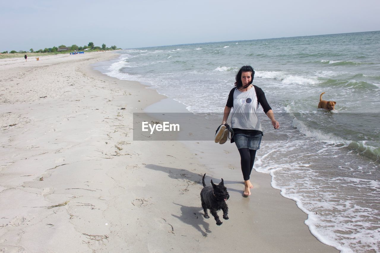 Full length of mature woman with dogs walking on shore at beach