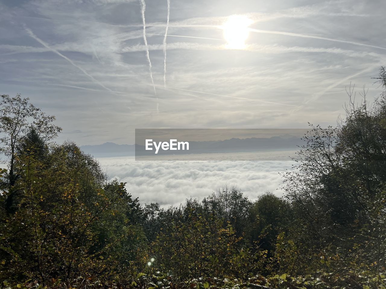 sky, nature, plant, sunlight, tree, cloud, morning, beauty in nature, scenics - nature, tranquility, no people, horizon, water, growth, land, tranquil scene, light, environment, reflection, outdoors, sun, day, grass, sunbeam, non-urban scene, hill, landscape, sea, lens flare