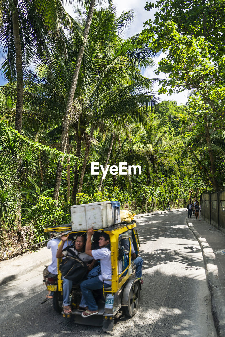 PEOPLE SITTING ON ROAD BY PALM TREES