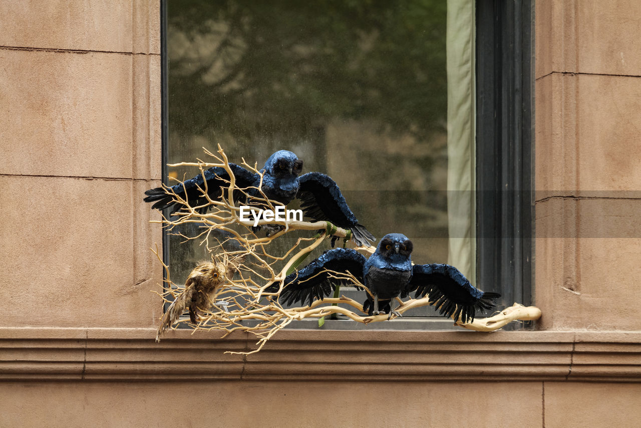 Halloween decoration of a blue owl in a nest on a window. halloween concept.