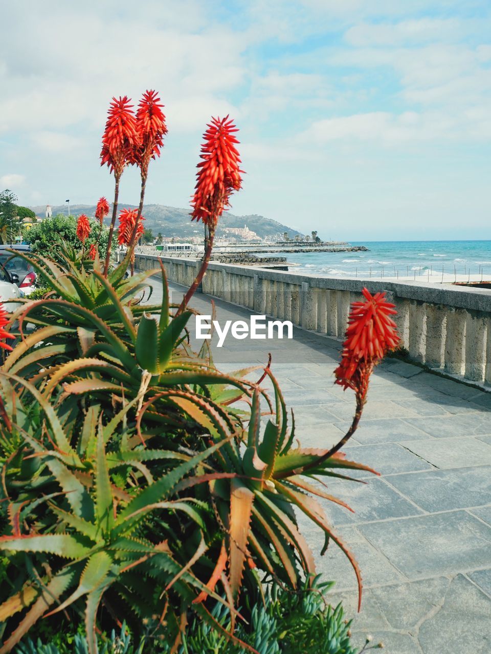 Scenic view of sea against cloudy sky