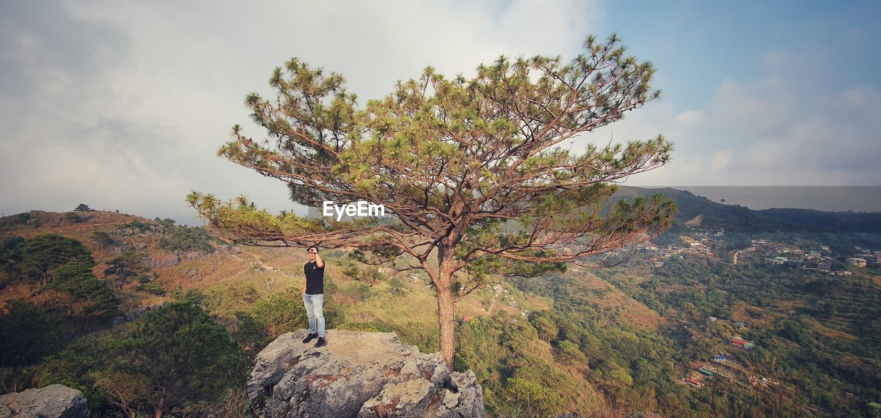 SCENIC VIEW OF TREE AGAINST MOUNTAIN