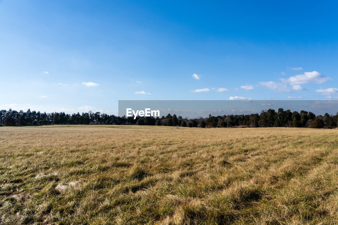 SCENIC VIEW OF FARM AGAINST SKY