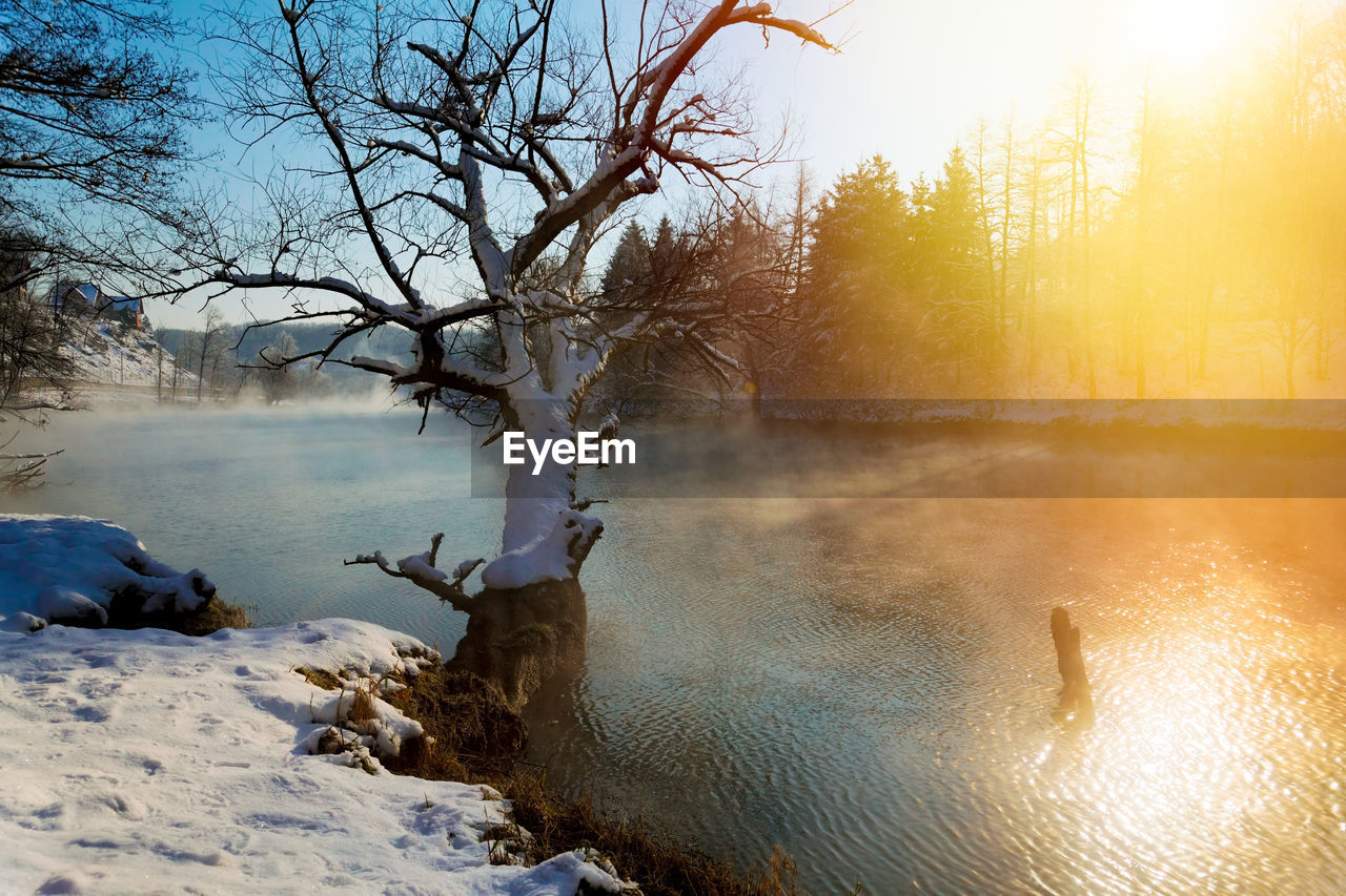 FROZEN LAKE BY TREES AGAINST SKY DURING WINTER