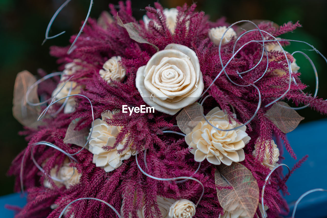 CLOSE-UP OF ROSE BOUQUET ON PLANT