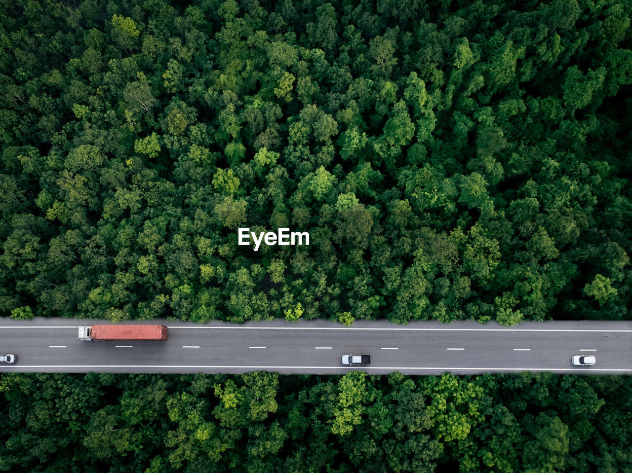Aerial top view of car and truck driving on highway road in green forest. sustainable transport.