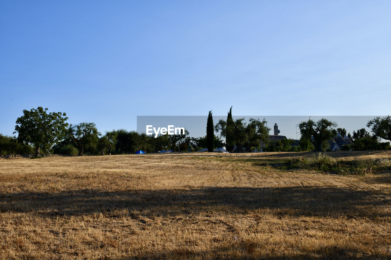 Scenic view of field against clear sky wireless trulli house