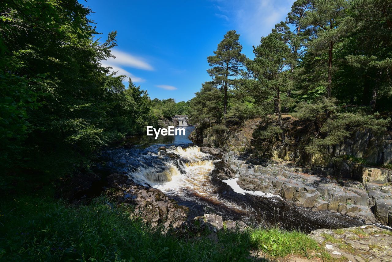 SCENIC VIEW OF WATERFALL IN FOREST