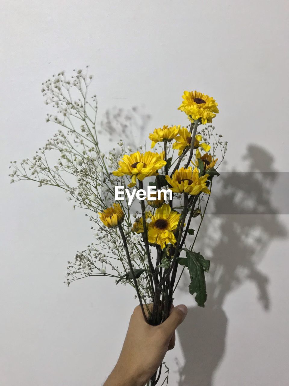 CLOSE-UP OF HAND HOLDING YELLOW FLOWERING PLANT AGAINST CLEAR SKY