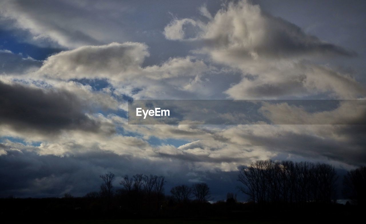 LOW ANGLE VIEW OF SILHOUETTE TREES AGAINST STORM CLOUDS