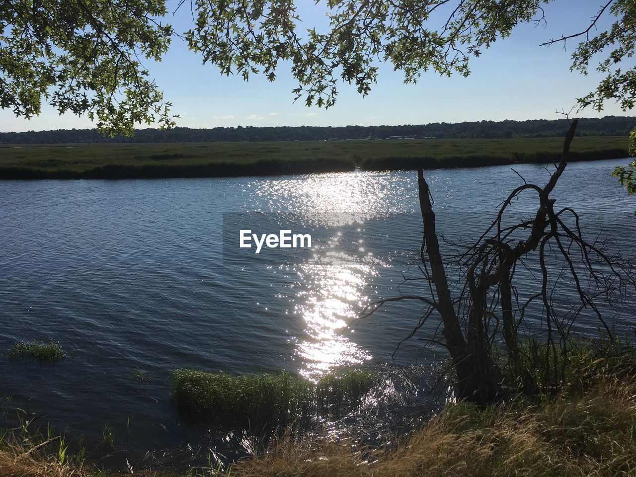 SCENIC VIEW OF LAKE