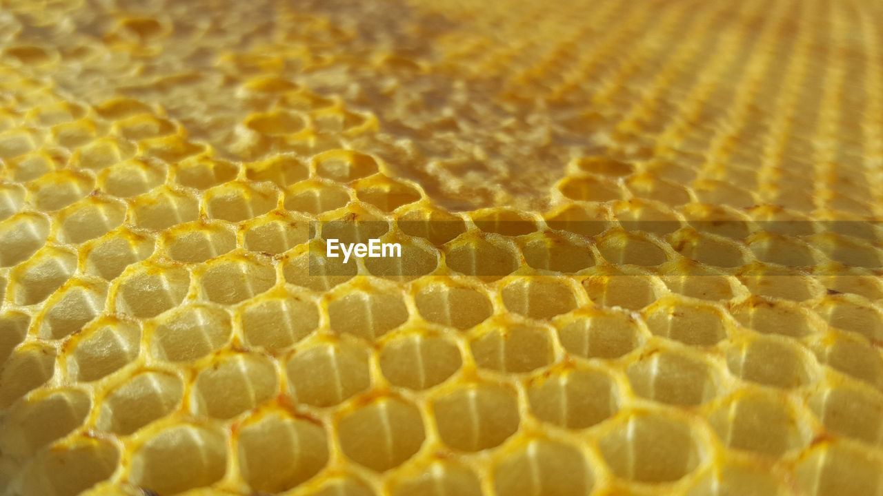 Full frame shot of honeycomb