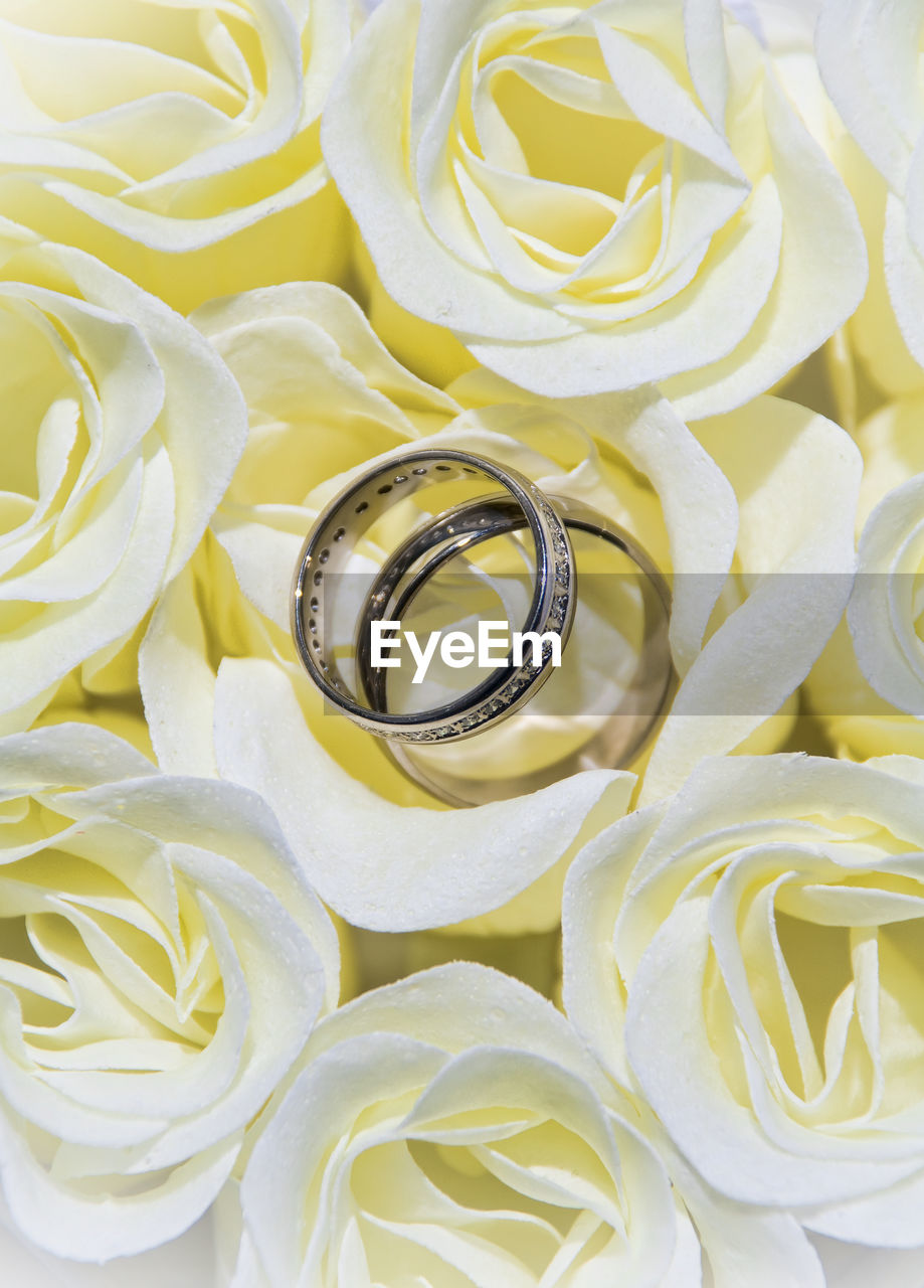 Full frame shot of yellow roses with wedding rings