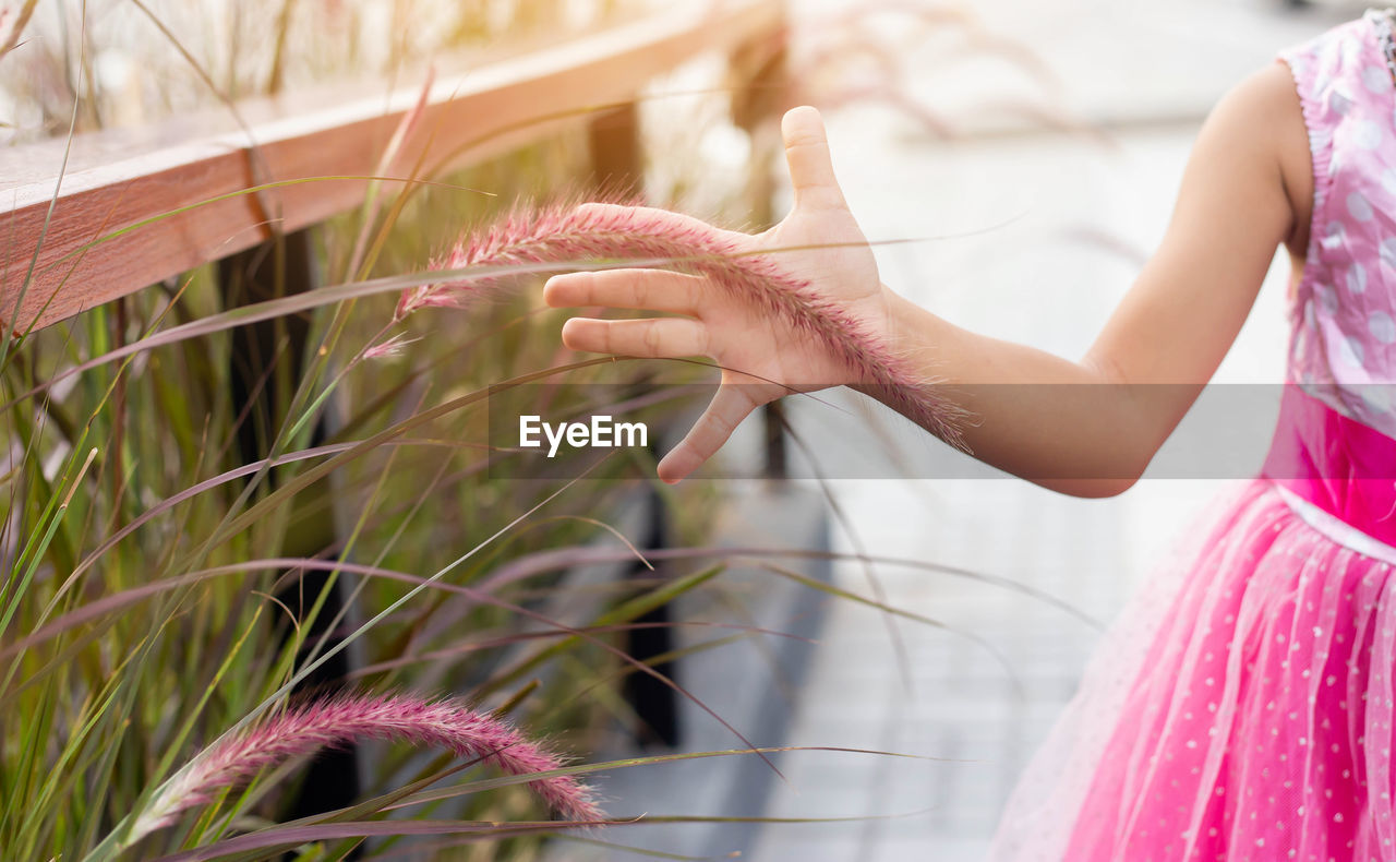 Midsection of girl touching flower