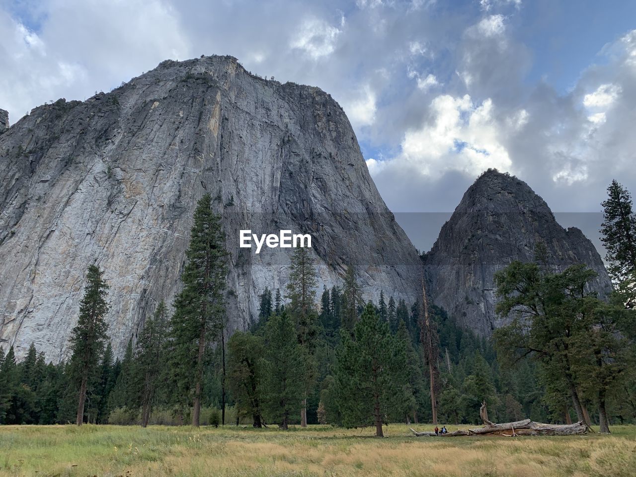 Scenic view of trees and mountains against sky