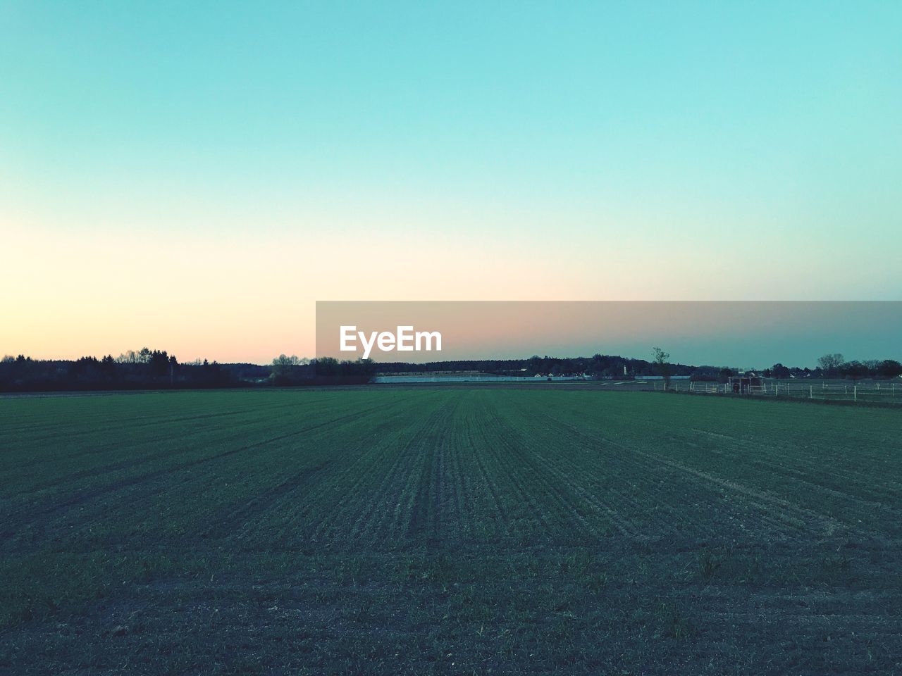 SCENIC VIEW OF AGRICULTURAL FIELD AGAINST CLEAR SKY