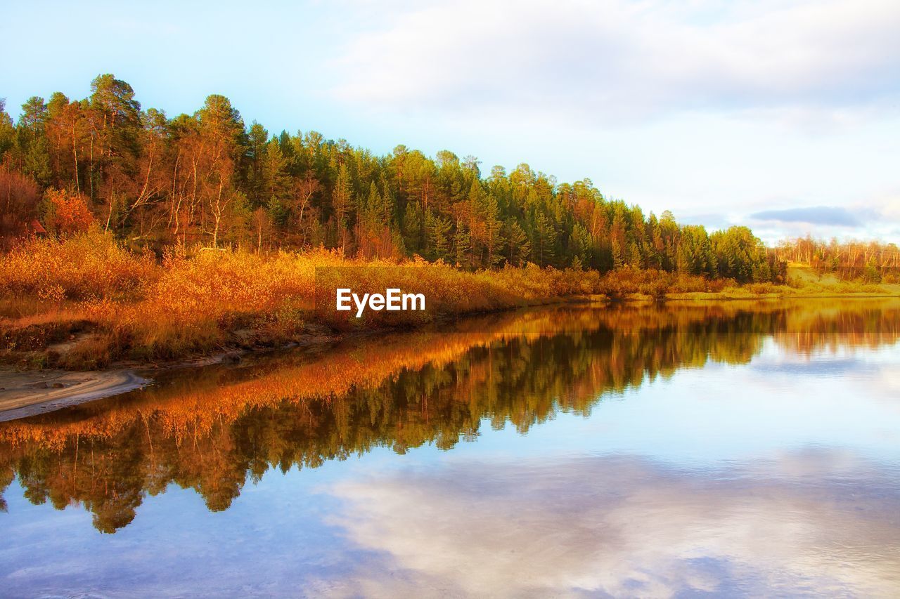 REFLECTION OF TREES IN LAKE