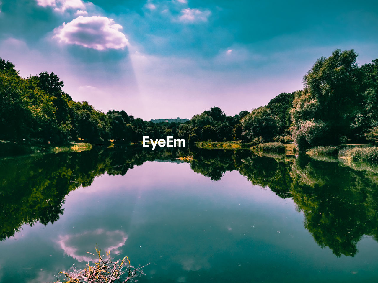 REFLECTION OF TREES IN LAKE AGAINST SKY