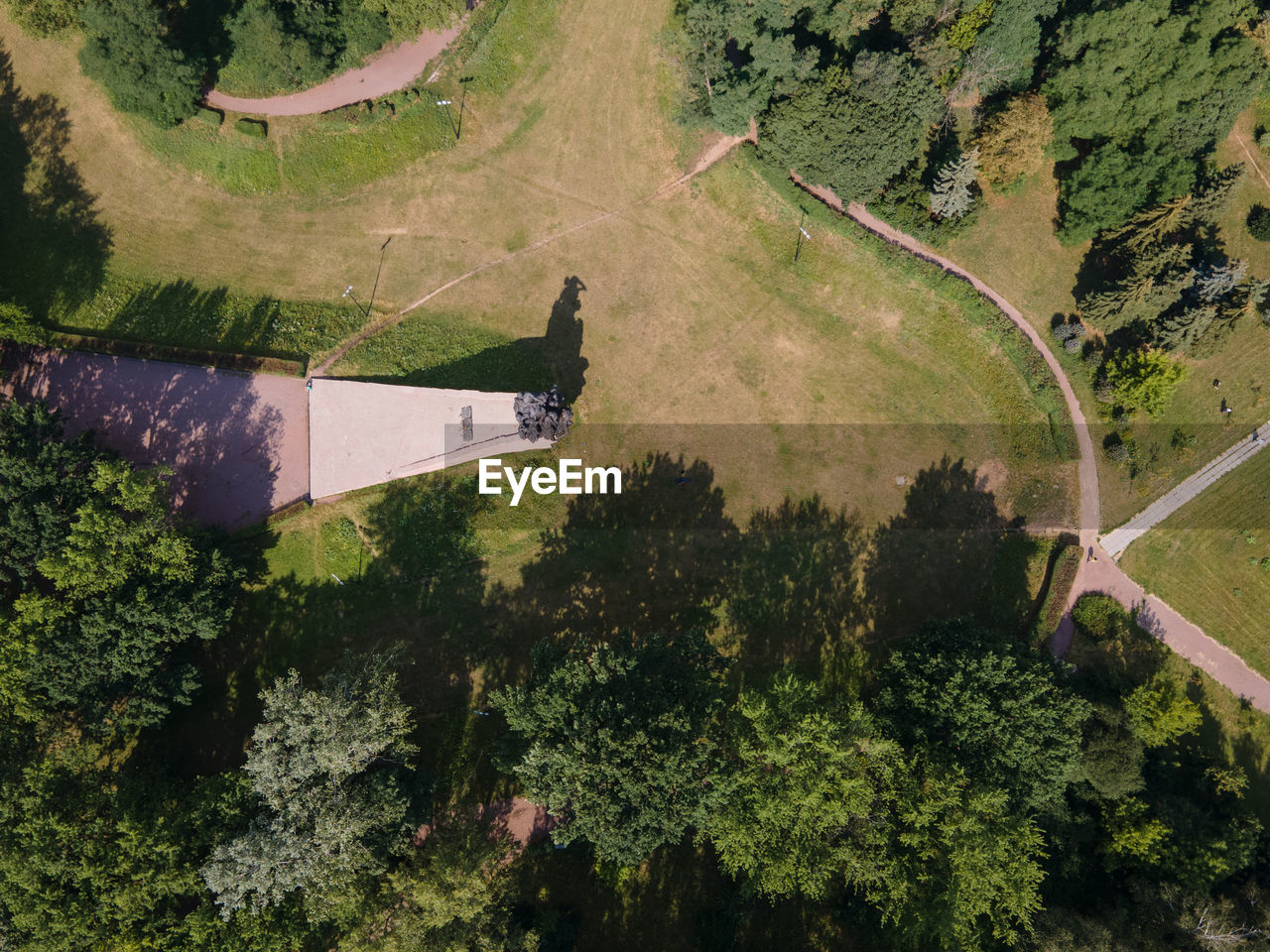 HIGH ANGLE VIEW OF TREES BY ROAD