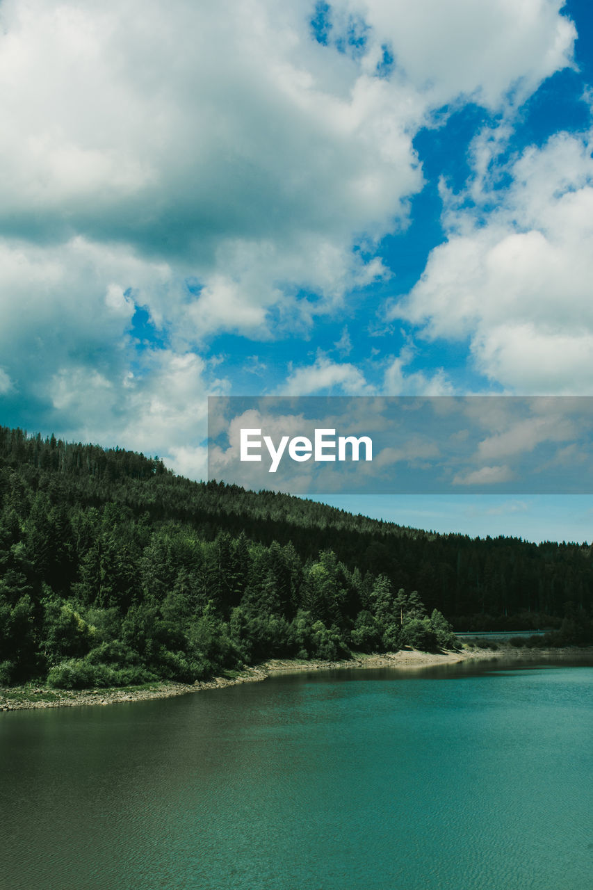 cloud, sky, tree, water, scenics - nature, beauty in nature, plant, nature, forest, sea, environment, body of water, land, tranquility, tranquil scene, reflection, no people, landscape, blue, mountain, non-urban scene, pine tree, travel destinations, pinaceae, travel, coniferous tree, day, outdoors, idyllic, pine woodland, reservoir, tourism, green, beach, turquoise colored, woodland, trip, cloudscape, holiday, vacation, shore, bay