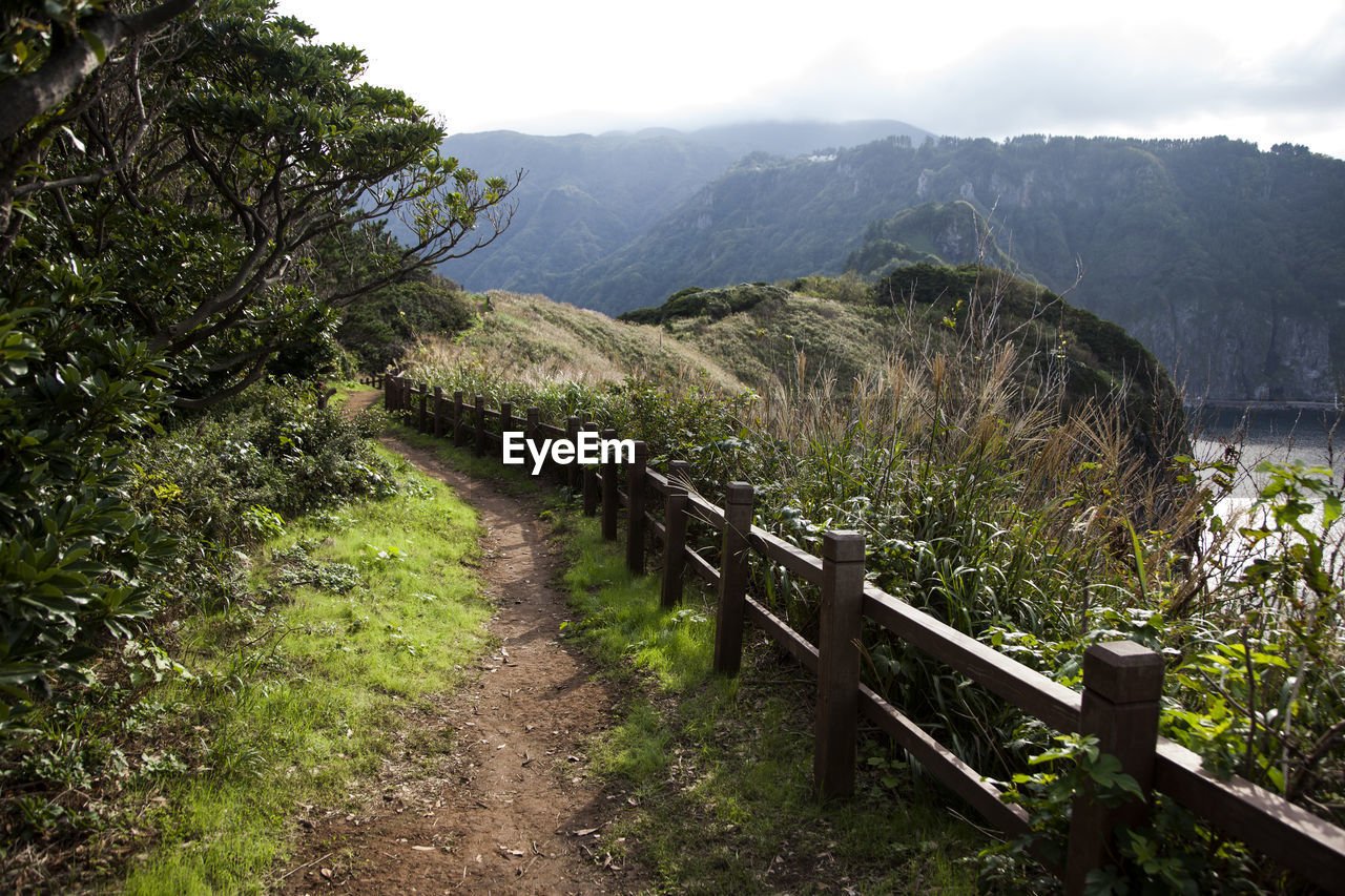 Narrow footpath on mountains