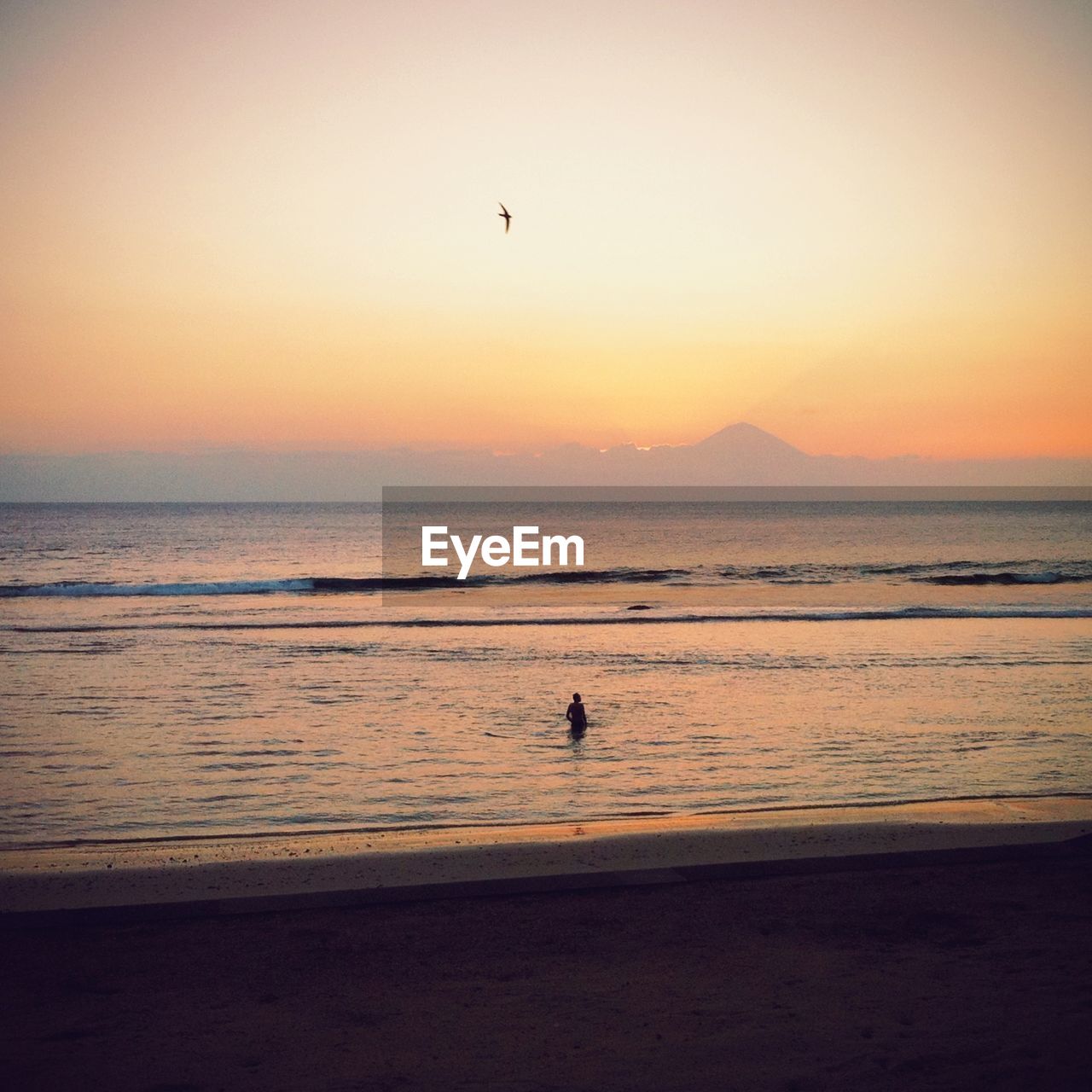 High angle view of person standing in sea at beach during sunset