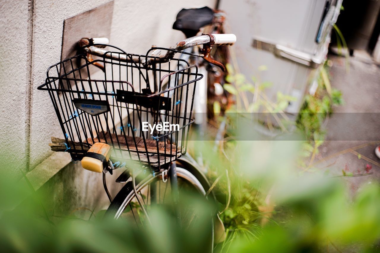 CLOSE-UP OF BICYCLE IN BASKET ON PLANT