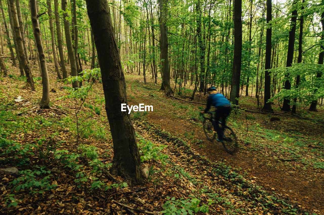 MAN RIDING BICYCLE ON FOREST
