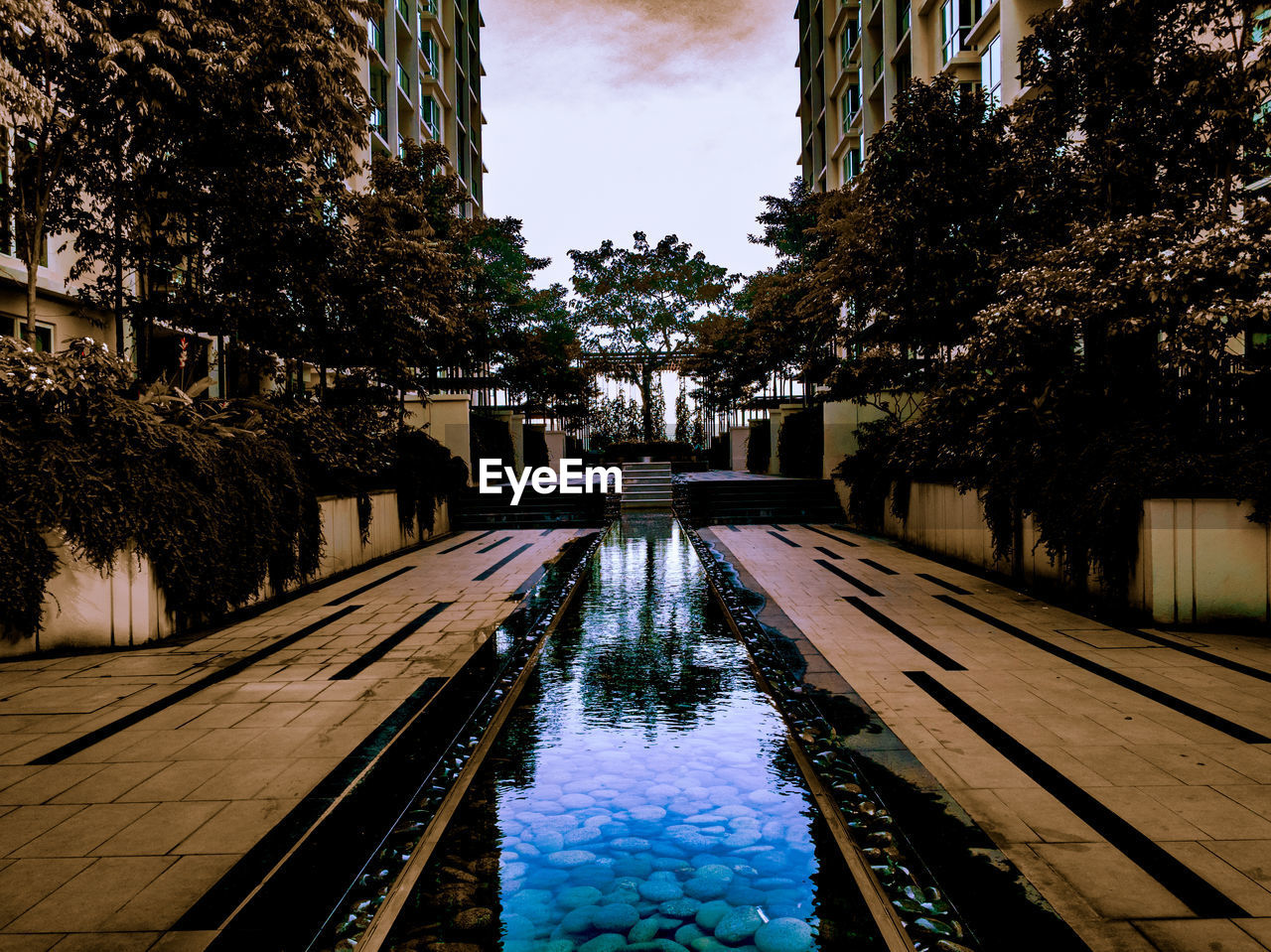 Swimming pool by trees against sky