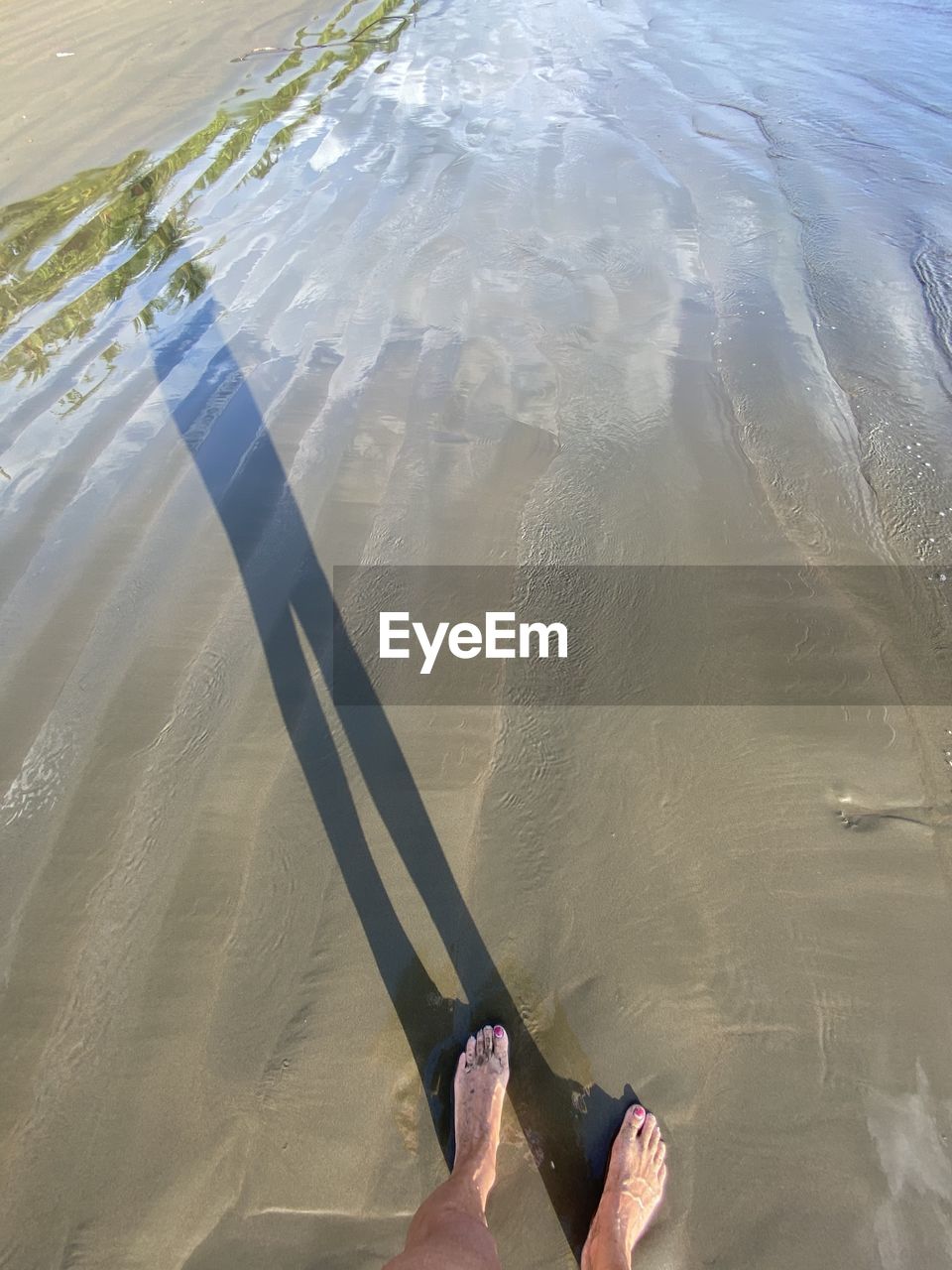 one person, water, nature, sand, adult, land, high angle view, wave, day, beach, lifestyles, human leg, low section, leisure activity, sea, sunlight, outdoors, blue, barefoot, vacation, trip, human foot, motion, men, reflection, hand, floor, women, human limb, personal perspective, travel, environment, sports