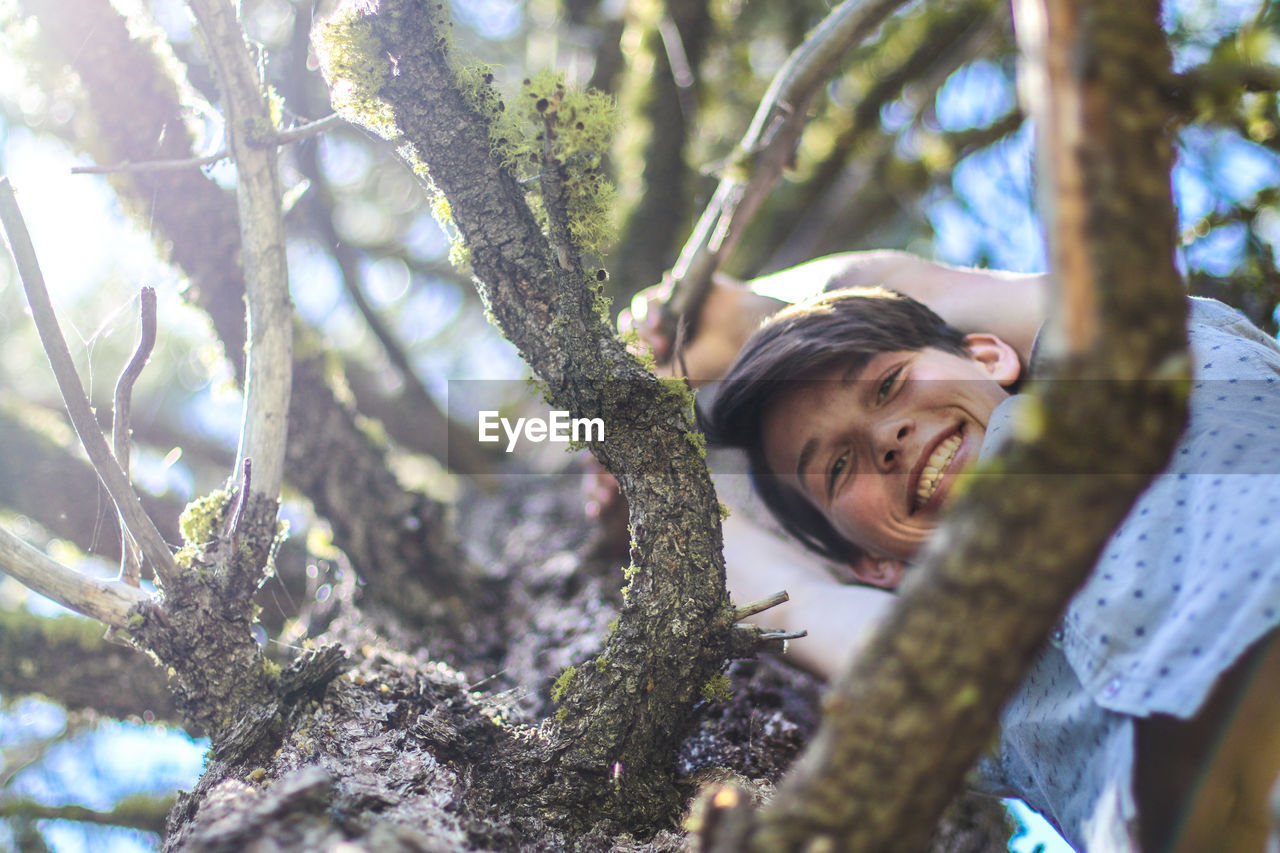 Low angle portrait of boy hanging on tree