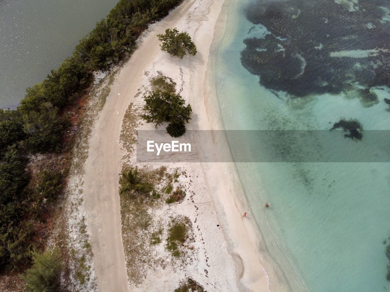 water, land, sea, beach, nature, scenics - nature, beauty in nature, coast, high angle view, aerial view, sand, environment, plant, tree, travel, travel destinations, coastline, outdoors, aerial photography, tranquility, no people, landscape, day, tourism, island, lagoon, sports, shore, tranquil scene, ocean, holiday, idyllic, non-urban scene, terrain, water sports