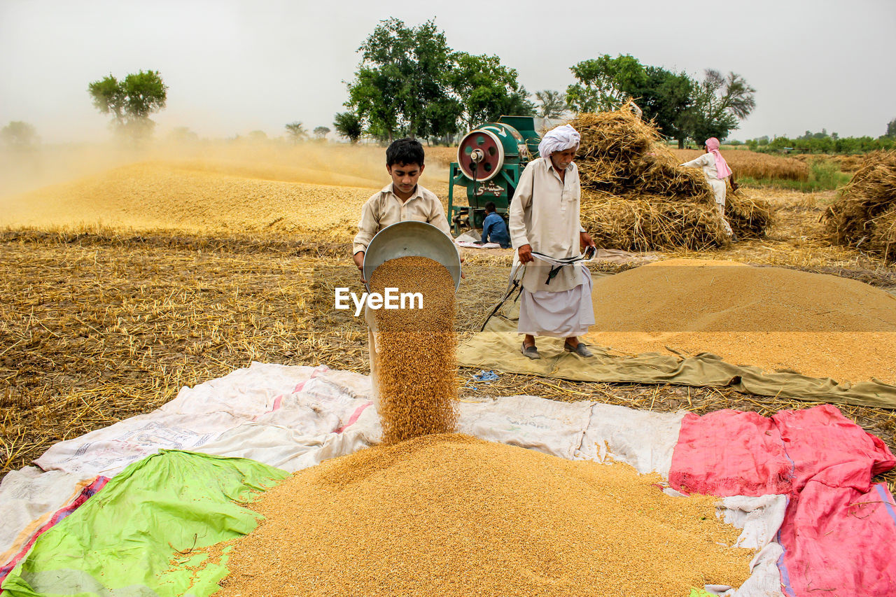 REAR VIEW OF PEOPLE WALKING ON FARM