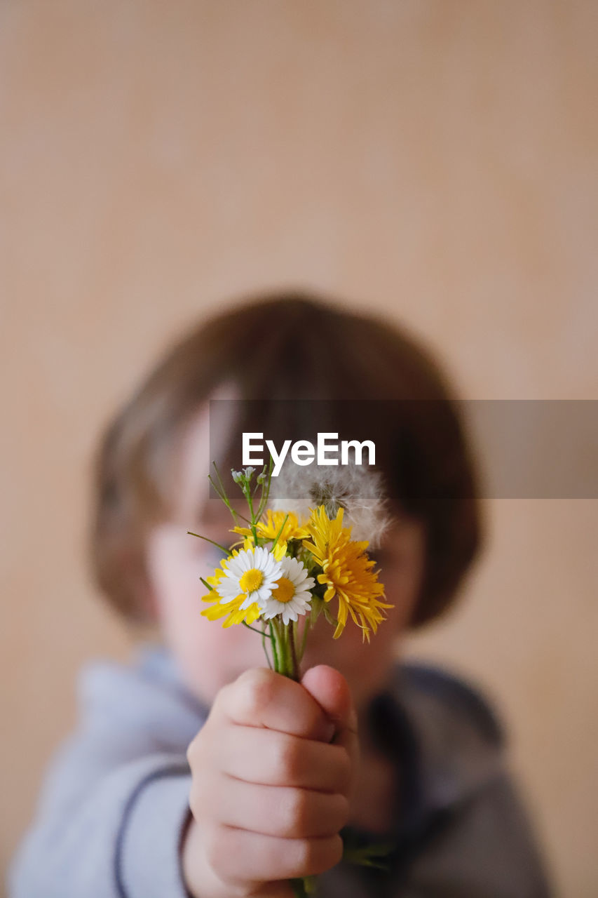 Close-up of boy holding flowers