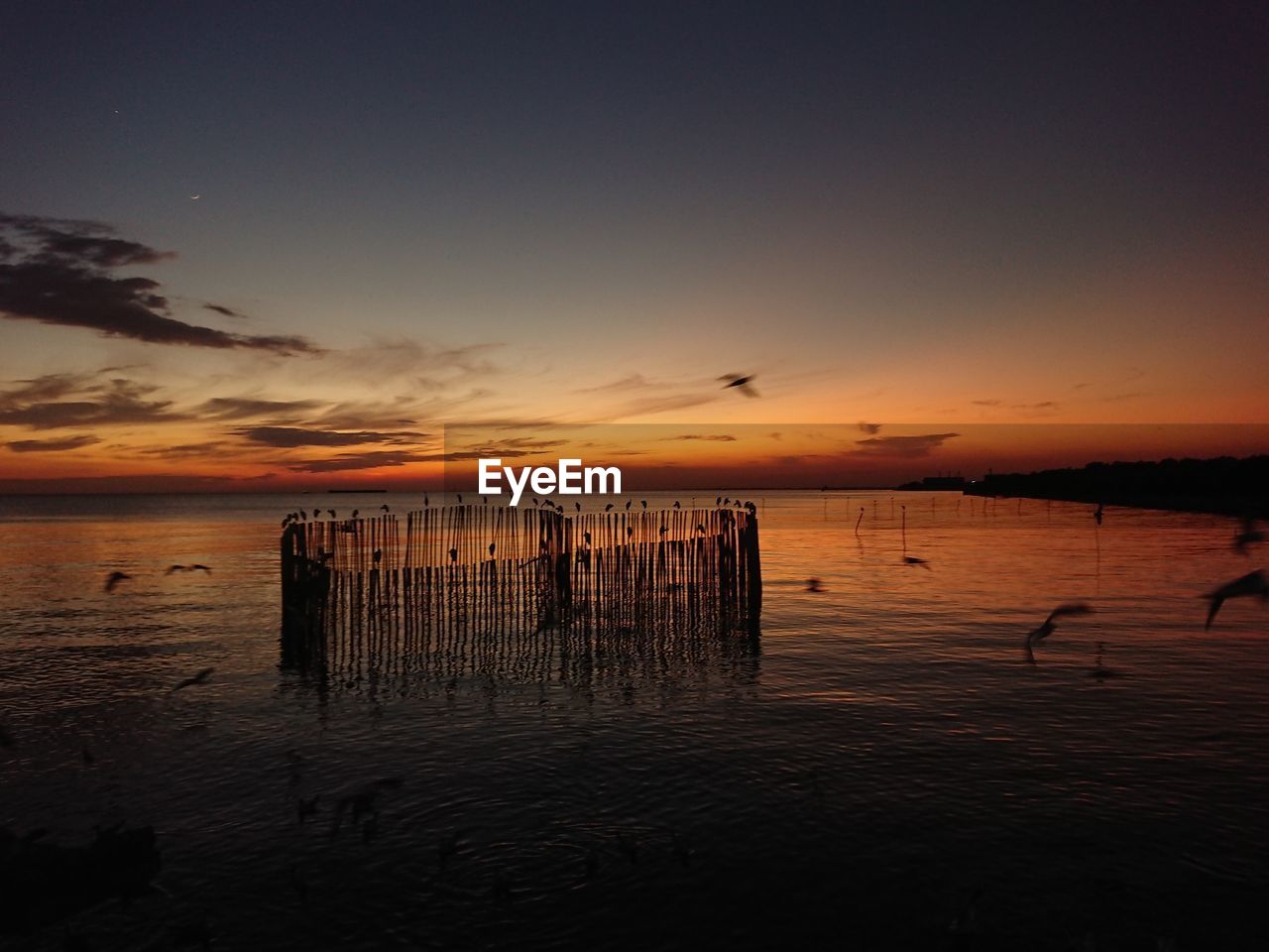 WOODEN POSTS IN SEA AGAINST SKY DURING SUNSET