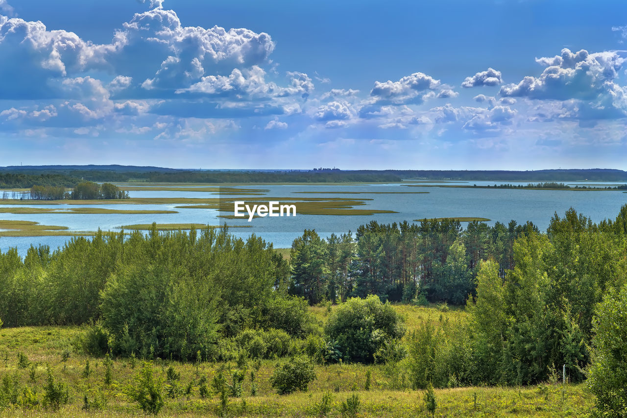 Landscape with lake strusta in braslaw district, belarus
