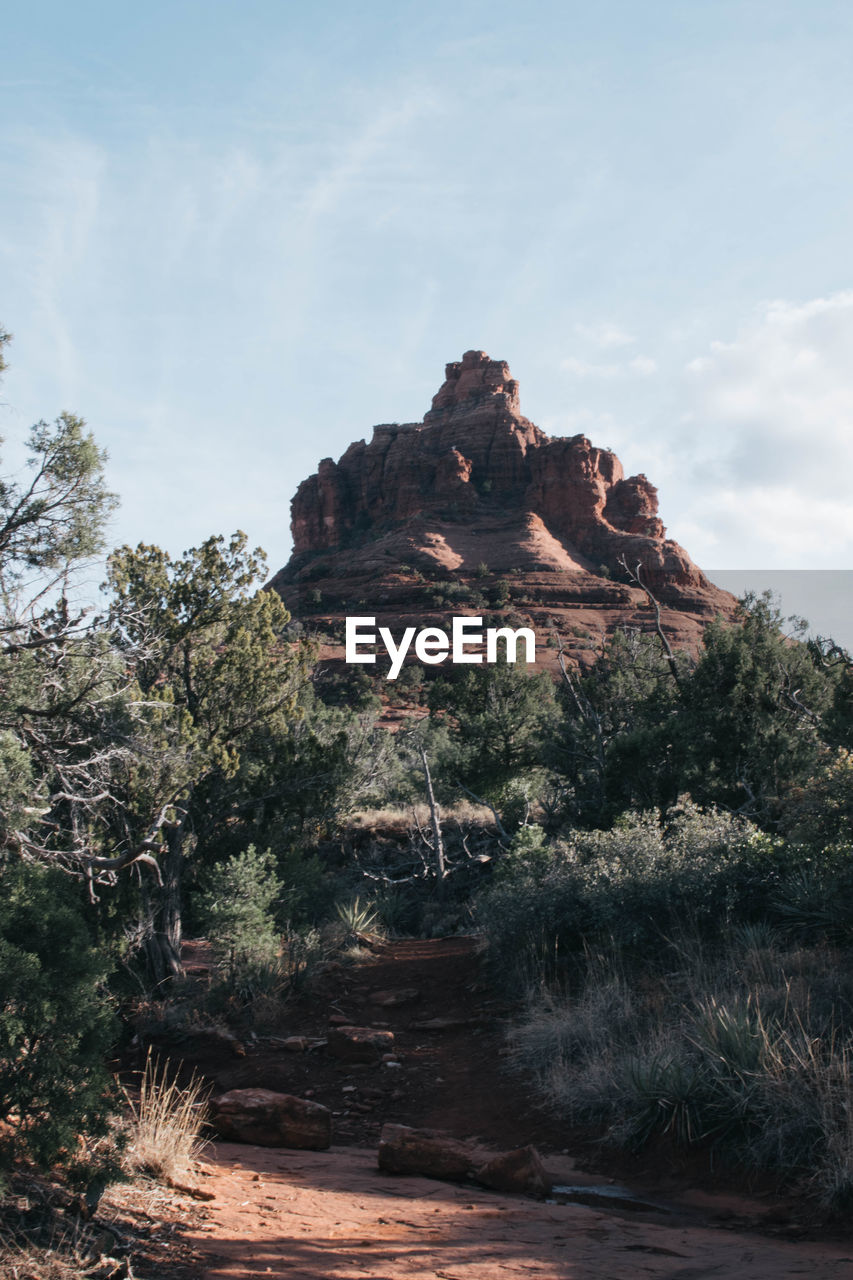 TREES ON MOUNTAIN AGAINST SKY